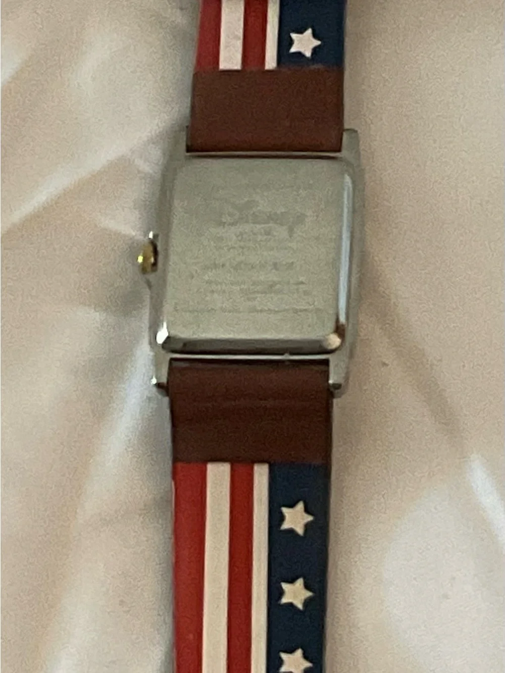 Disney great american